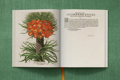 Basilius Besler. The Garden at Eichstätt (German, French, English) (FFE) Book