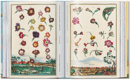 J. C. Volkamer. The Book of Citrus Fruits. 45th Ed. (German, French, English) Book