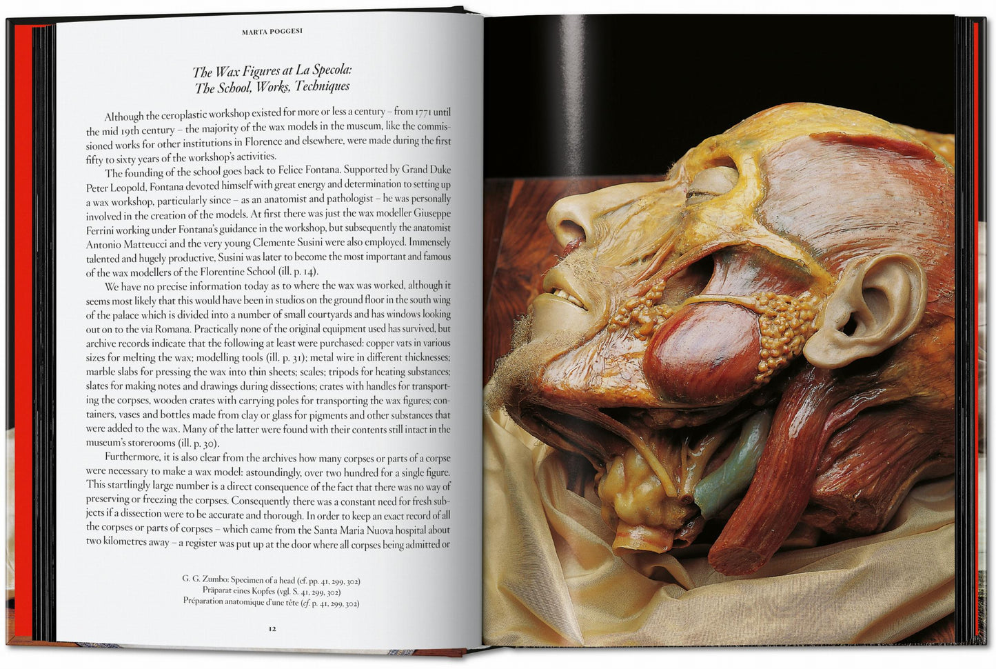 Anatomical Waxes. 45th Ed. (German, French, English) Book