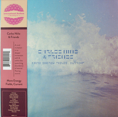 More Energy Fields, Current Vinyl Record