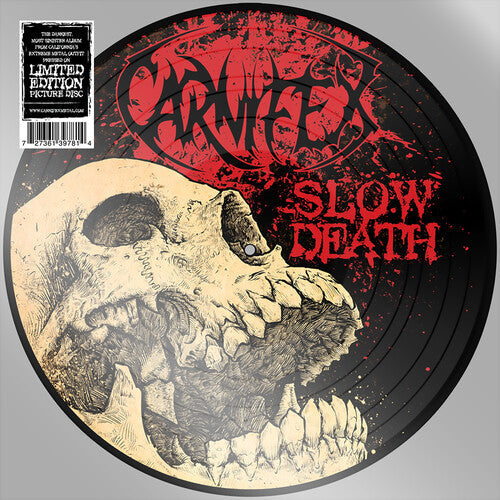 Slow Death (Indie Exclusive, Picture Disc Vinyl) [Vinyl] Vinyl Record