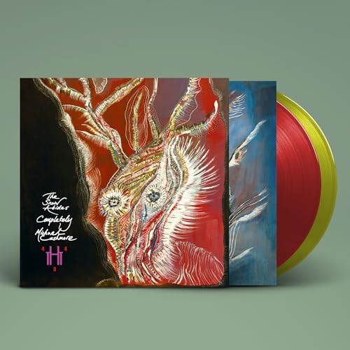 The Snow Abides Completely Vinyl Record