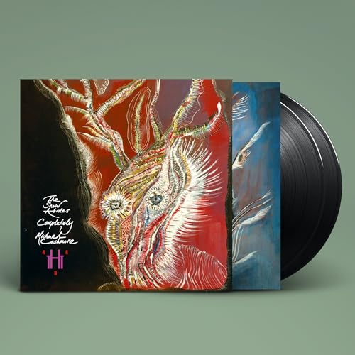 The Snow Abides Completely Vinyl Record