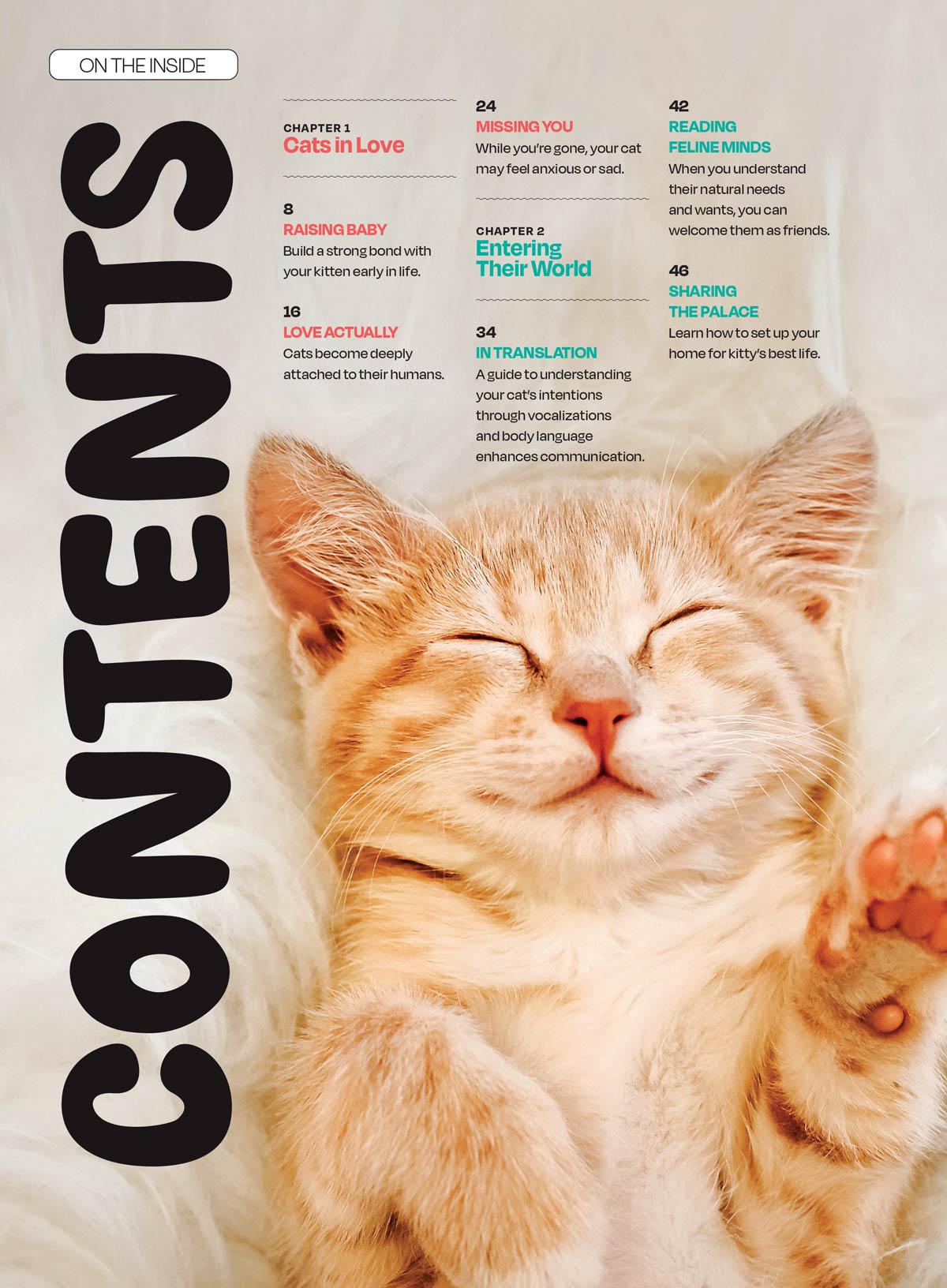 Inside Your Cat’s Mind - Essential Tips For Bonding, Communication, Understanding Emotional Unique Needs, Creating A Happy Cat-Friendly Home, Strengthening Your Feline Companionship & More!