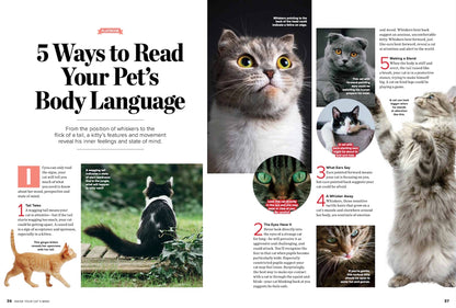 Cats - Inside Their Mind: Understand Their Body Language Decoding Baffling Behaviors Easy Ways to Strengthen Your Bond