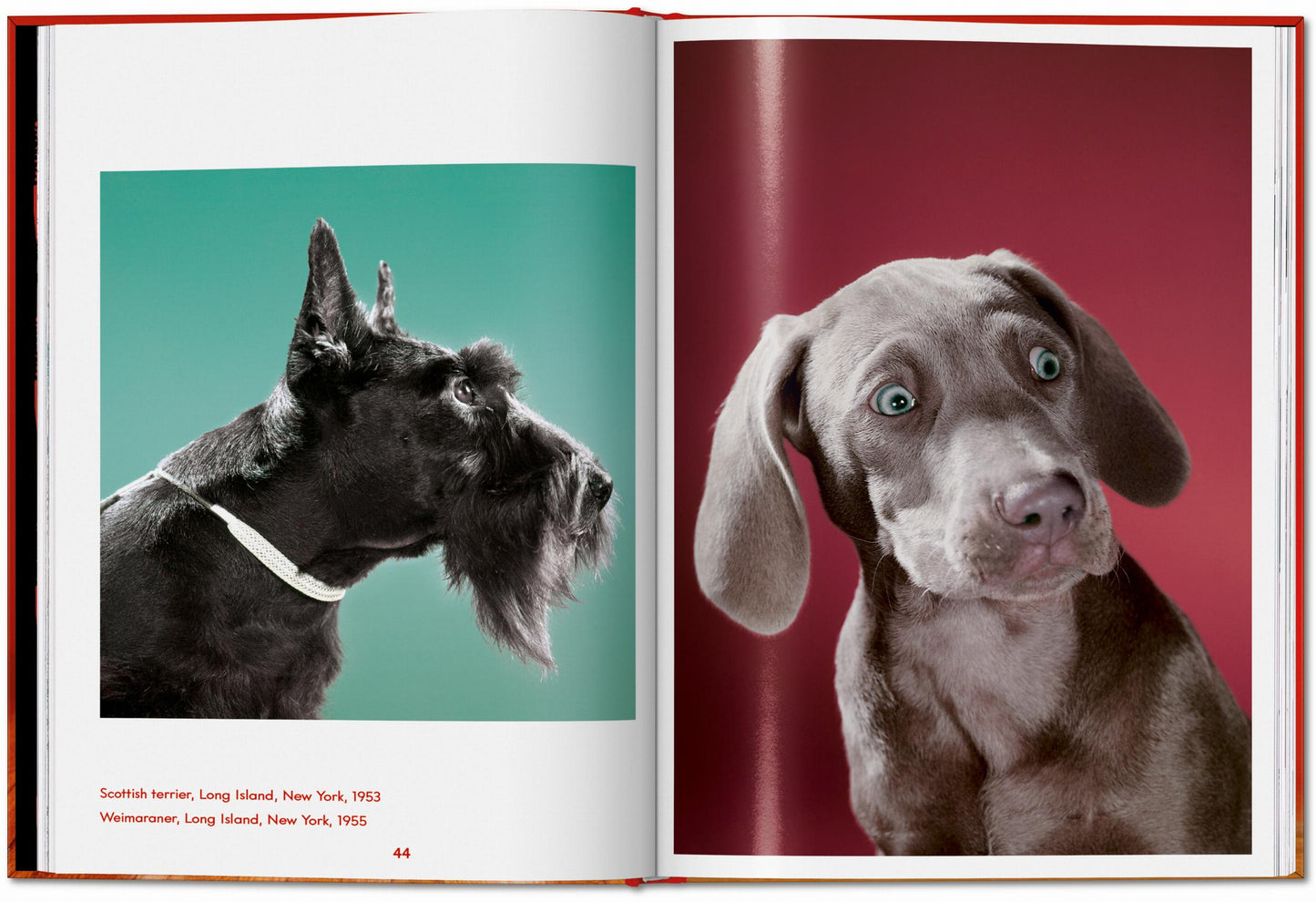 Walter Chandoha. Dogs. Photographs 1941–1991 (English) Book