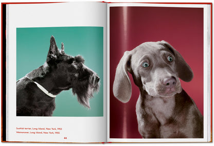 Walter Chandoha. Dogs. Photographs 1941–1991 (English) Book