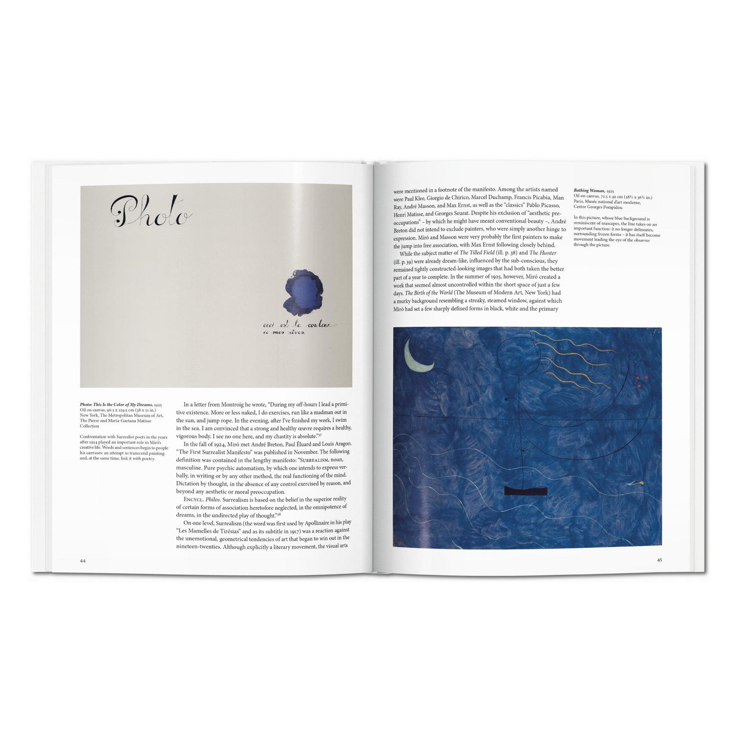 Miró (English) Book