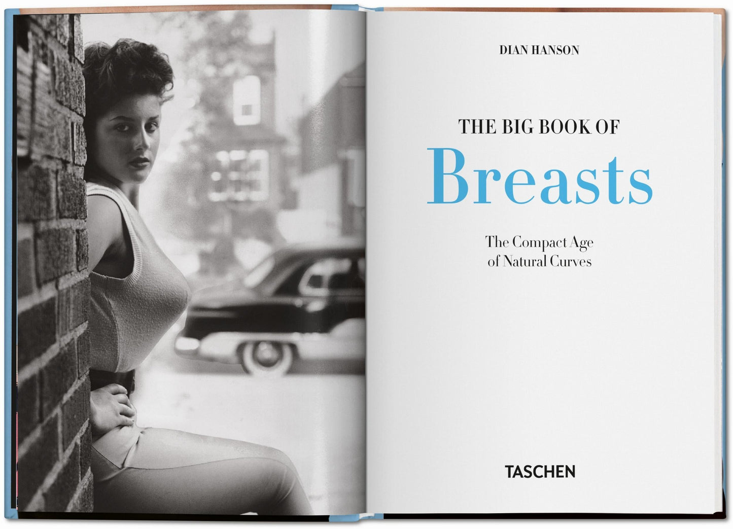 The Little Big Book of Breasts (German, French, English) Book