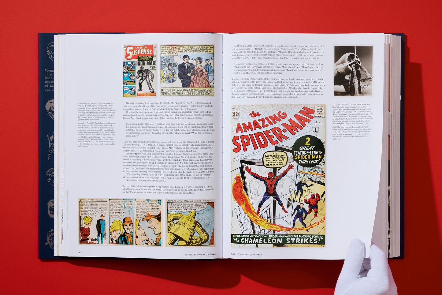 The Stan Lee Story (English) Book