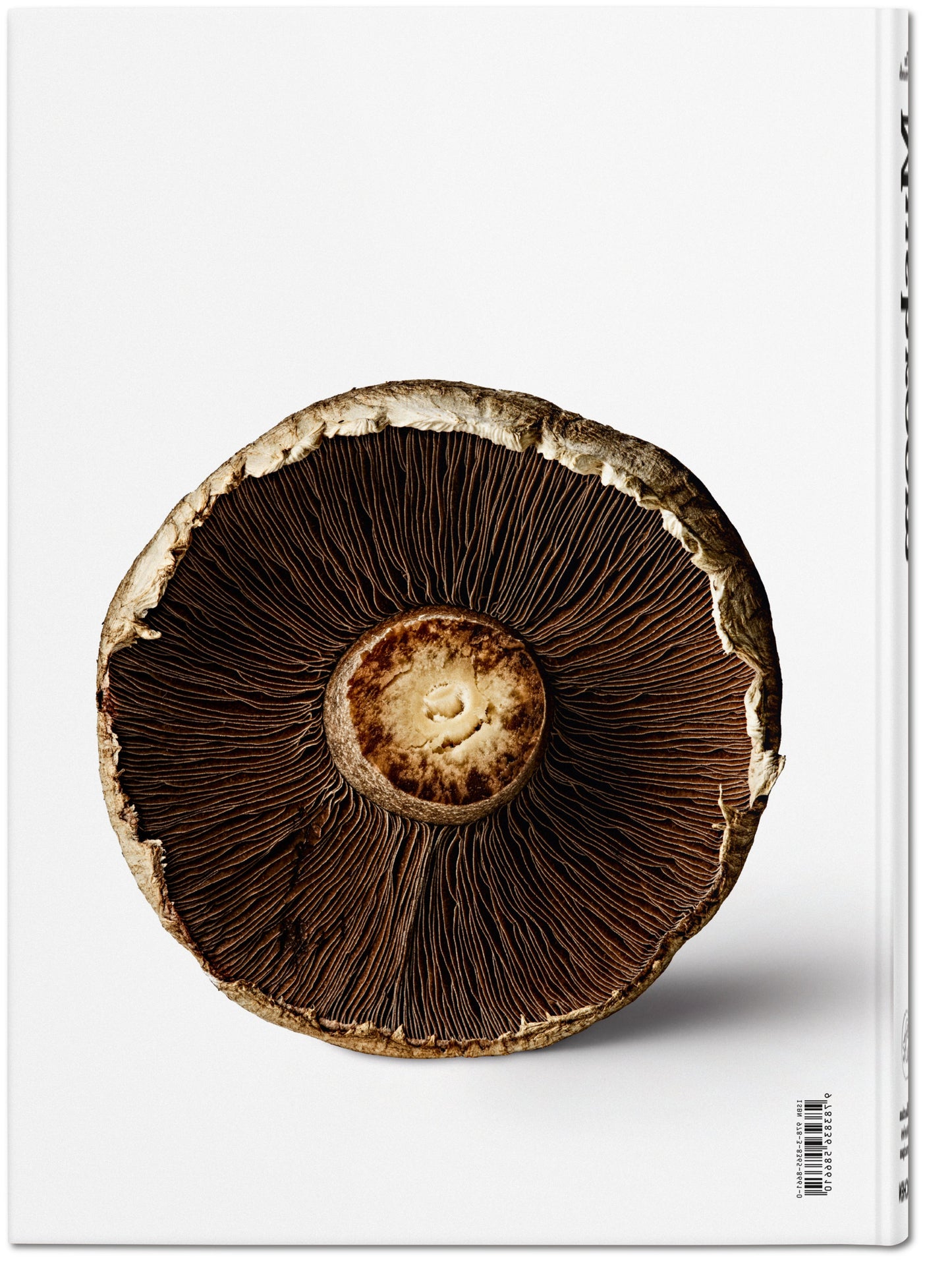 The Gourmand's Mushroom. A Collection of Stories and Recipes (English) Book