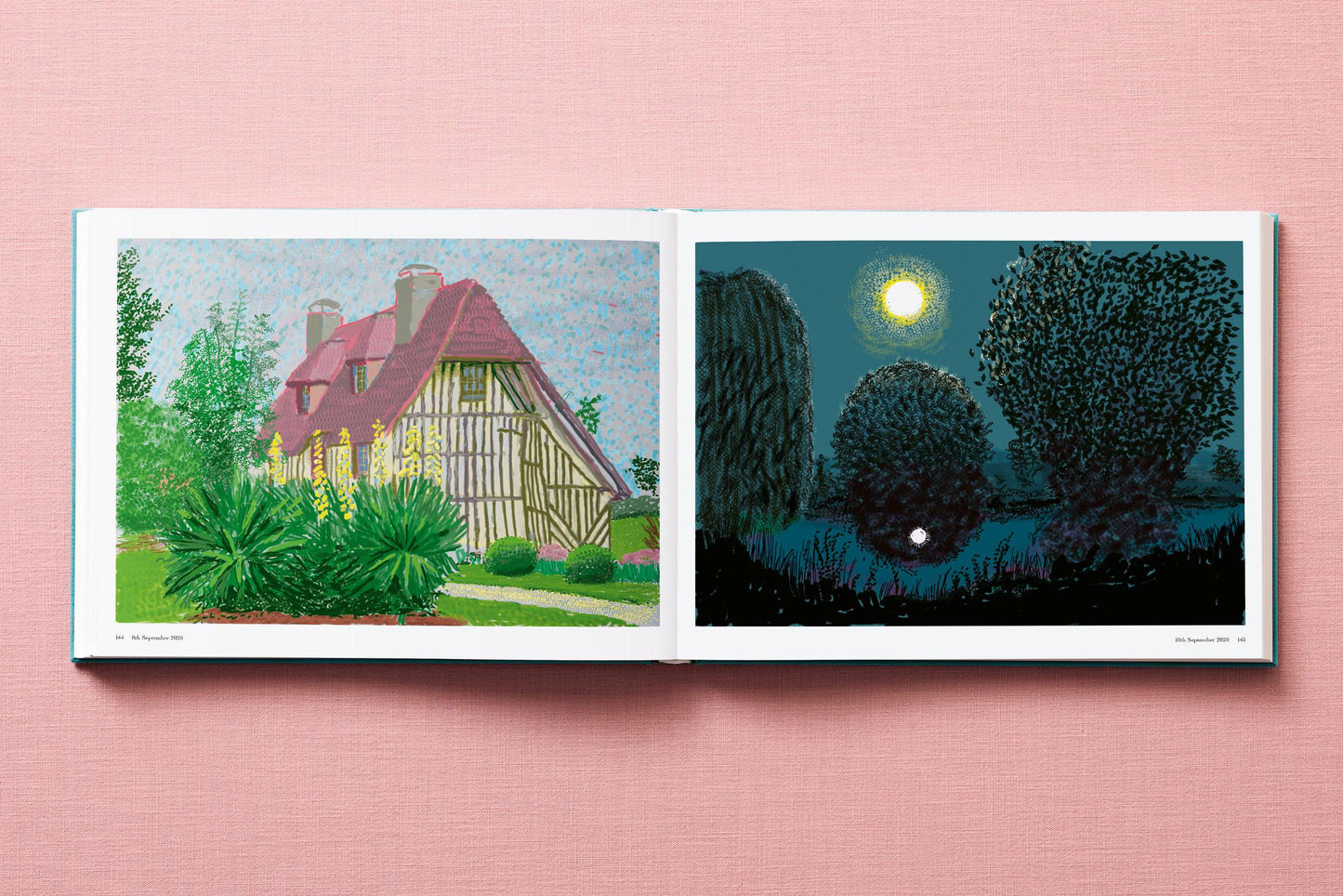 David Hockney. 220 for 2020 (English) Book