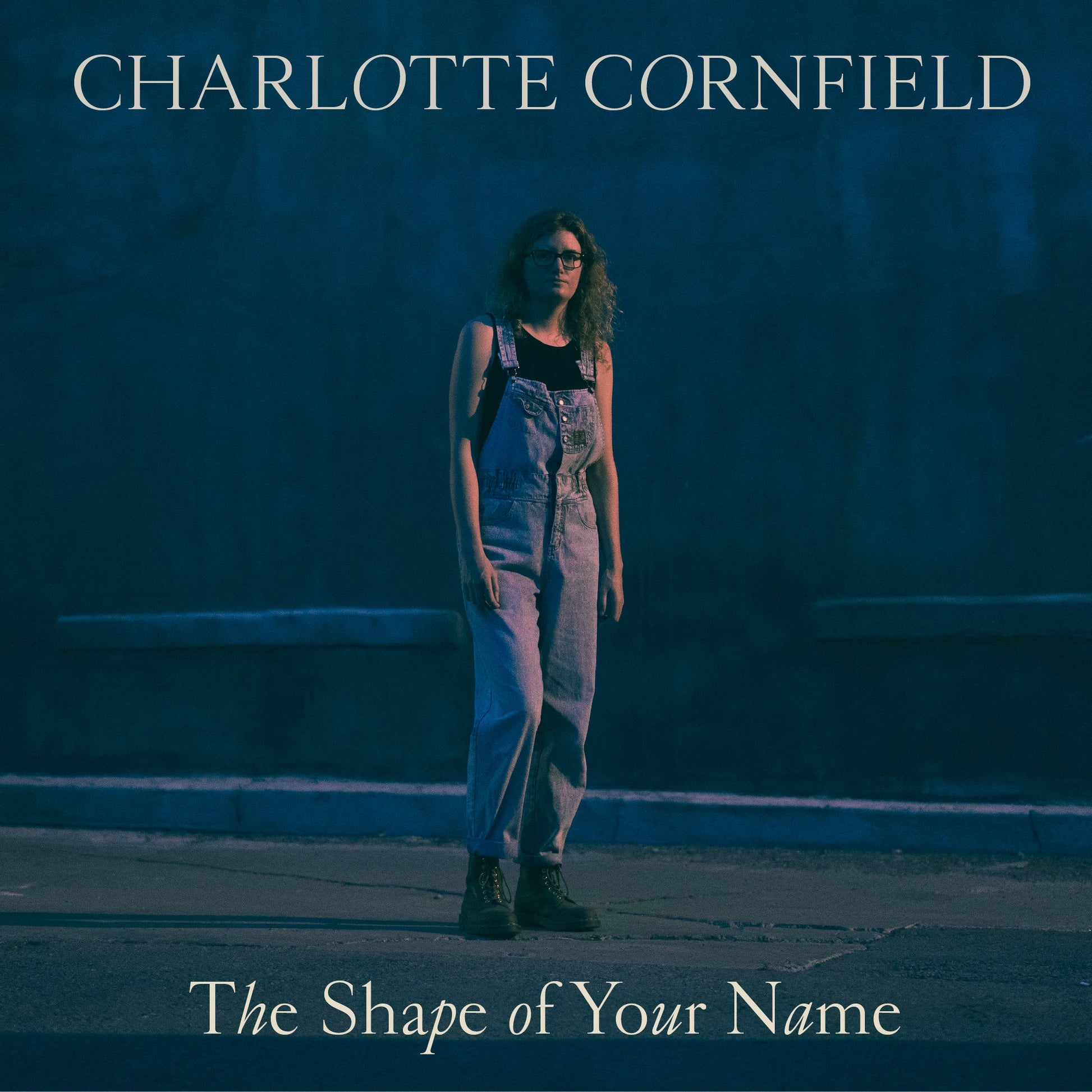 The Shape Of Your Name Music CD
