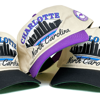 Charlotte Snapback Hat - The Hornet