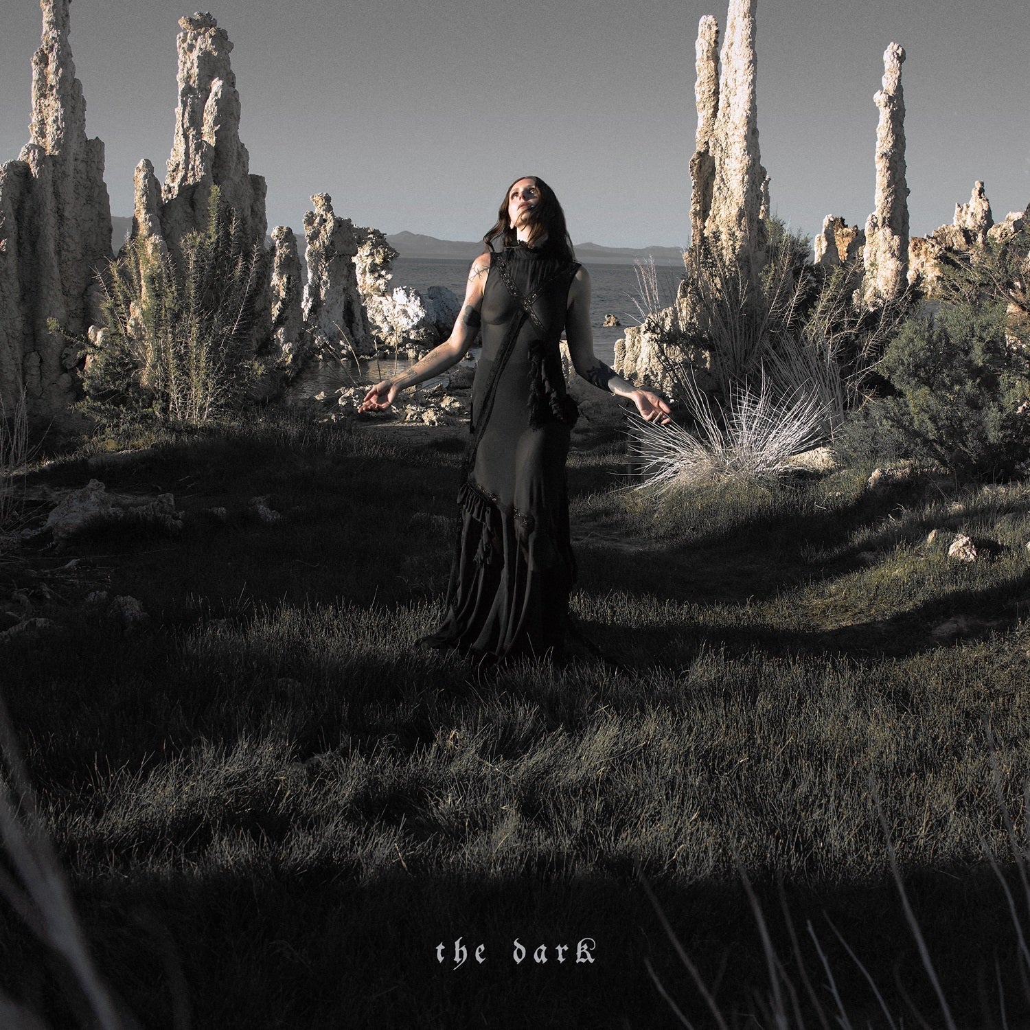 PRE-ORDER Chelsea Wolfe - The Dark [LP] [Vinyl] Vinyl Record