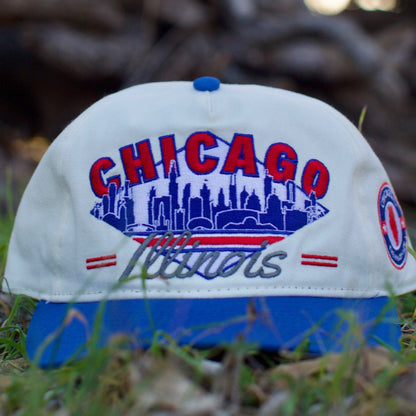 Chicago Snapback Hat - The Wrigley
