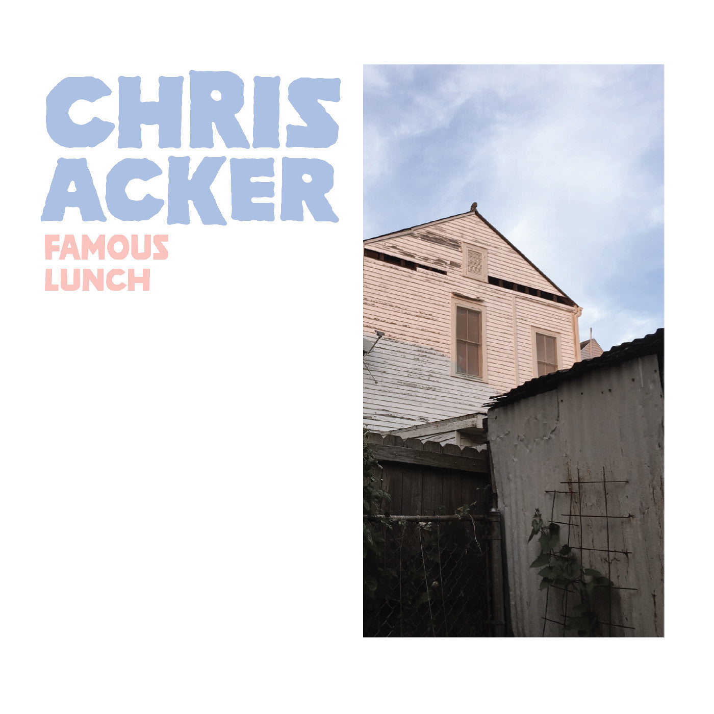 Famous Lunch (Orange / White Marble Vinyl) [Vinyl] Vinyl Record