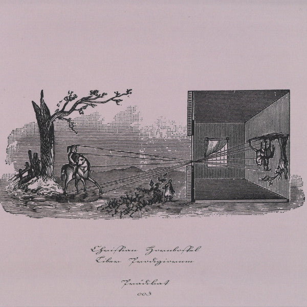 Liber Prodigiorum Vinyl Record