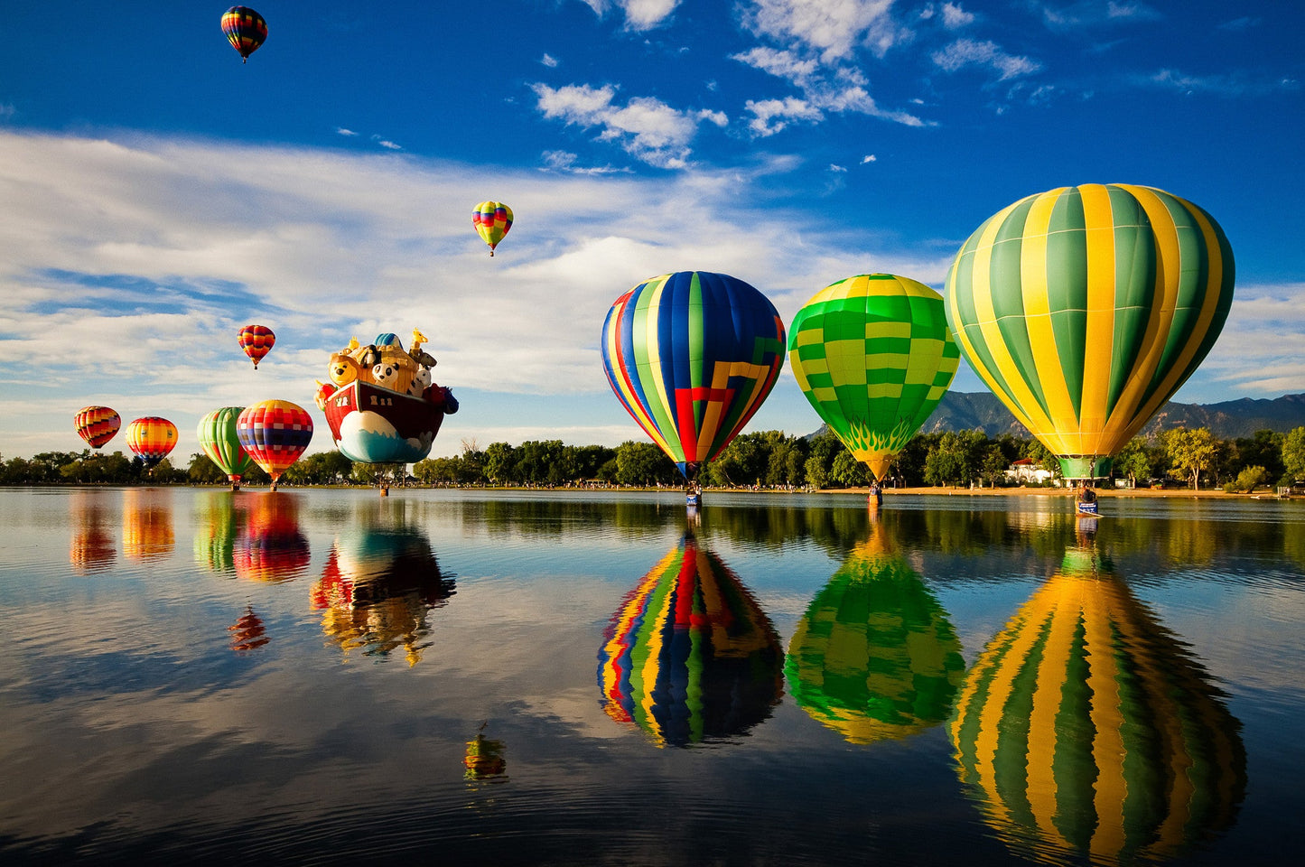 Capture My Colorado: Aspen Book