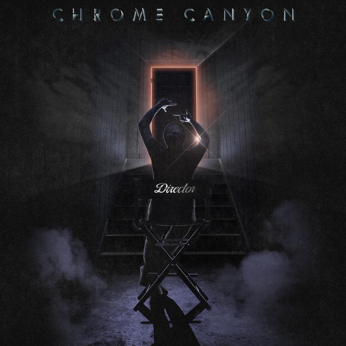 Director Vinyl Record