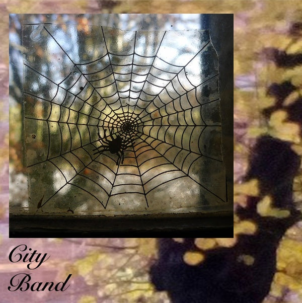 CITY BAND - City Band Vinyl Record