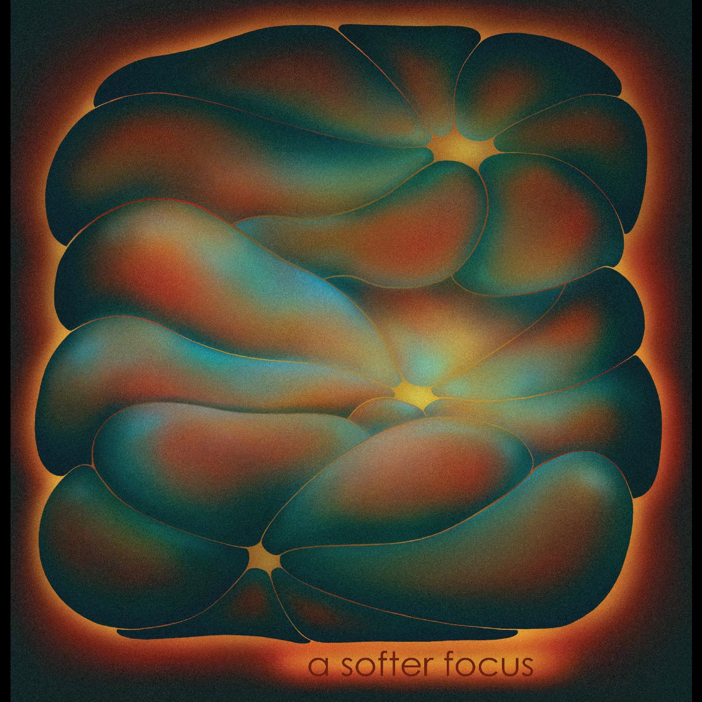 A Softer Focus [Vinyl] Vinyl Record