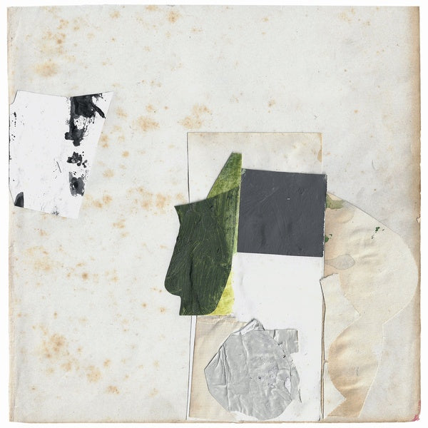 Everything Perfect Is Already Here Vinyl Record