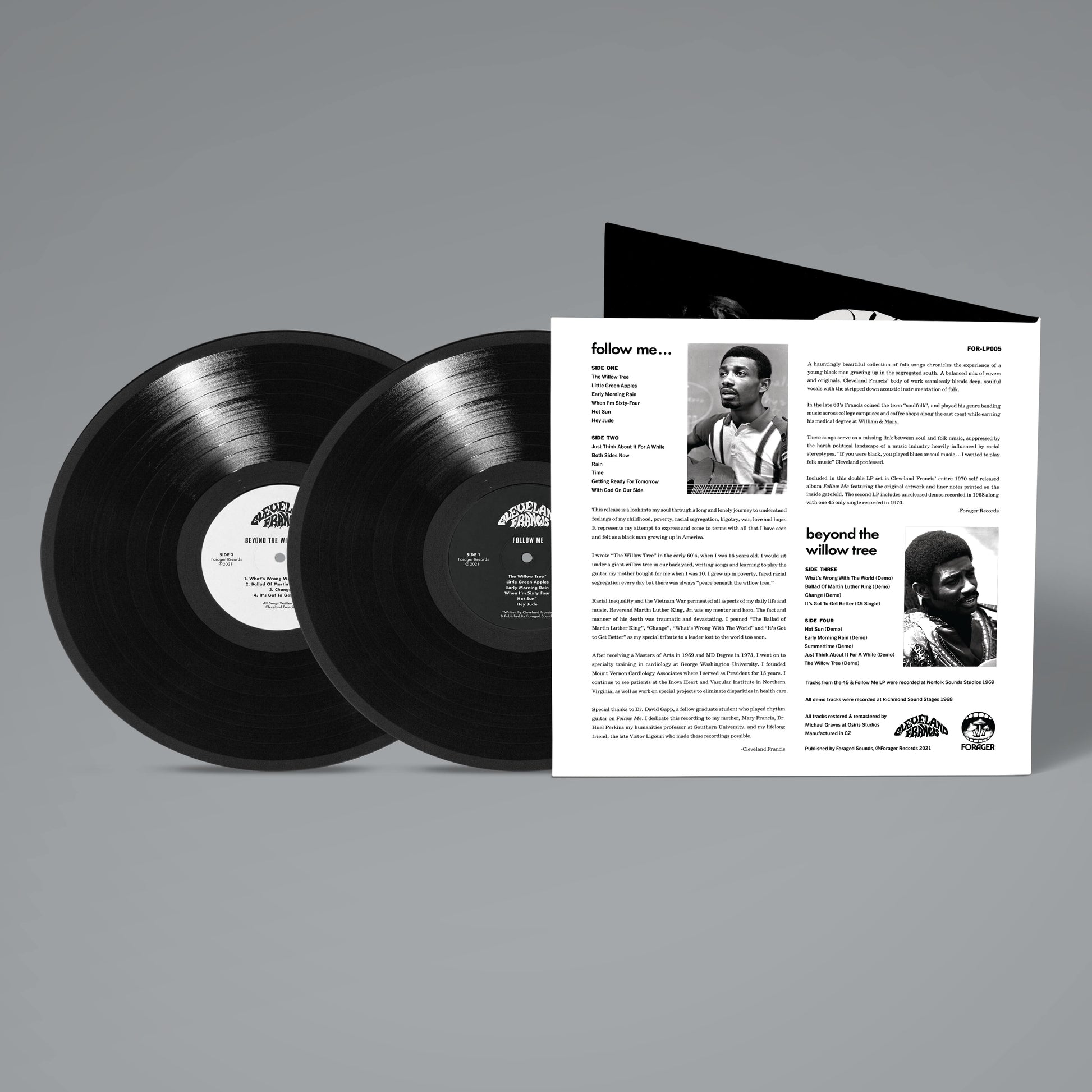 Beyond The Willow Tree Vinyl Record