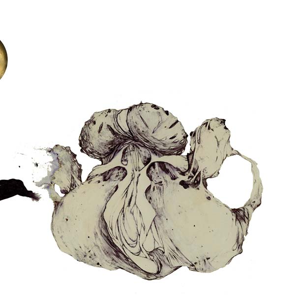 The Ape Of Naples Vinyl Record