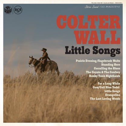 Little Songs Vinyl Record