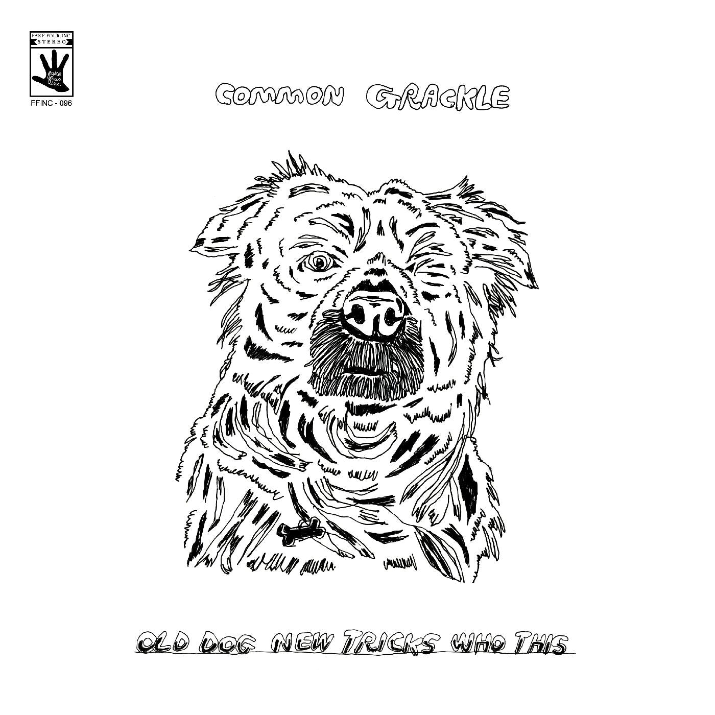 Common Grackle - Old Dog New Tricks Who This Vinyl Record