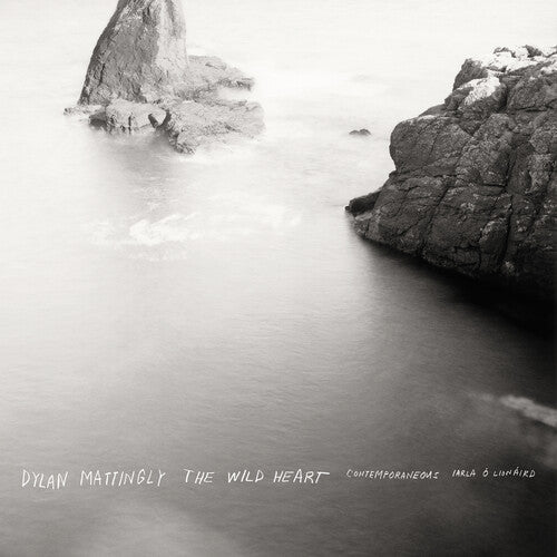 Contemporaneous & David Bloom - Dylan Mattingly: The Wild Heart [Vinyl] Vinyl Record