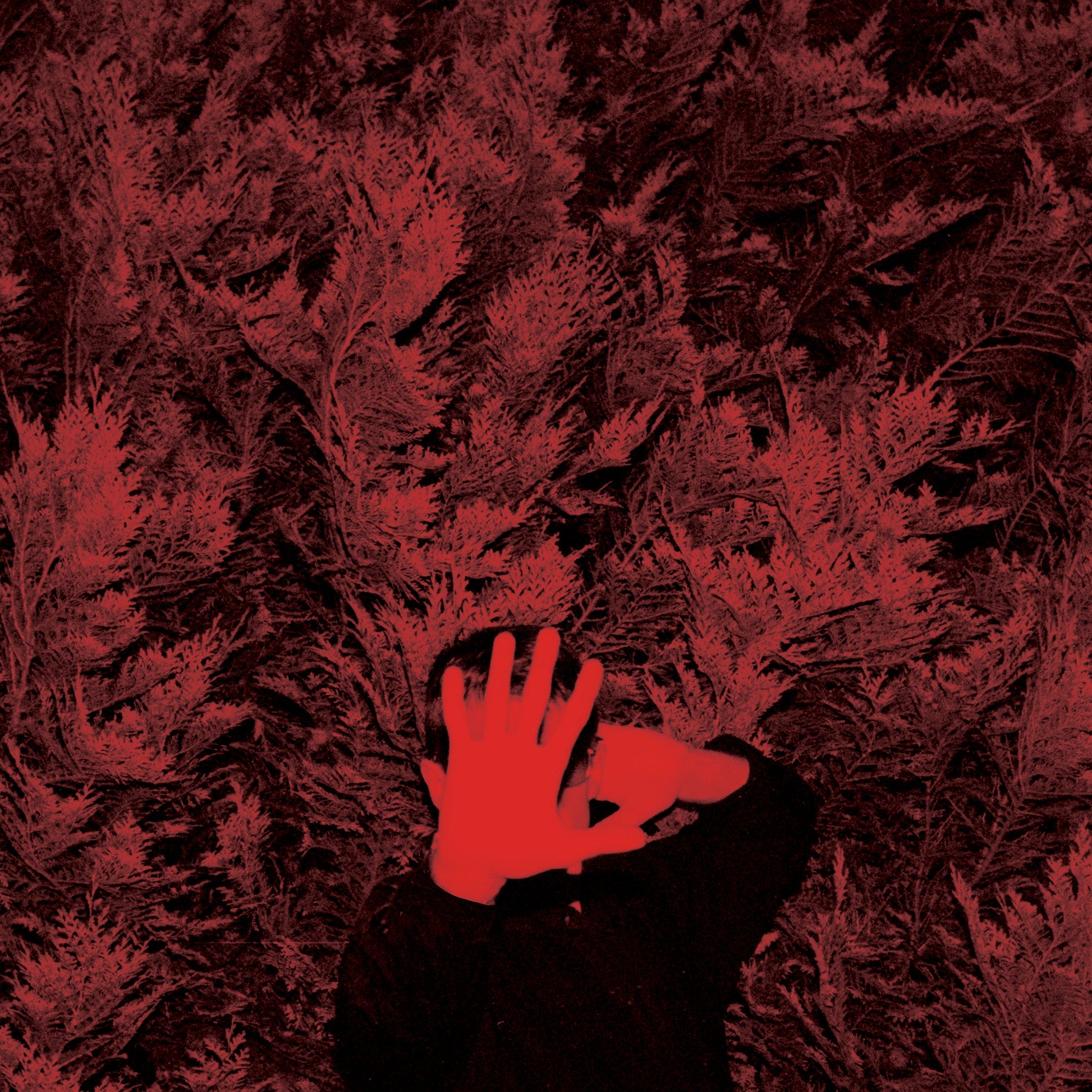 Cory Hanson - The Unborn Capitalist From Limbo Vinyl Record
