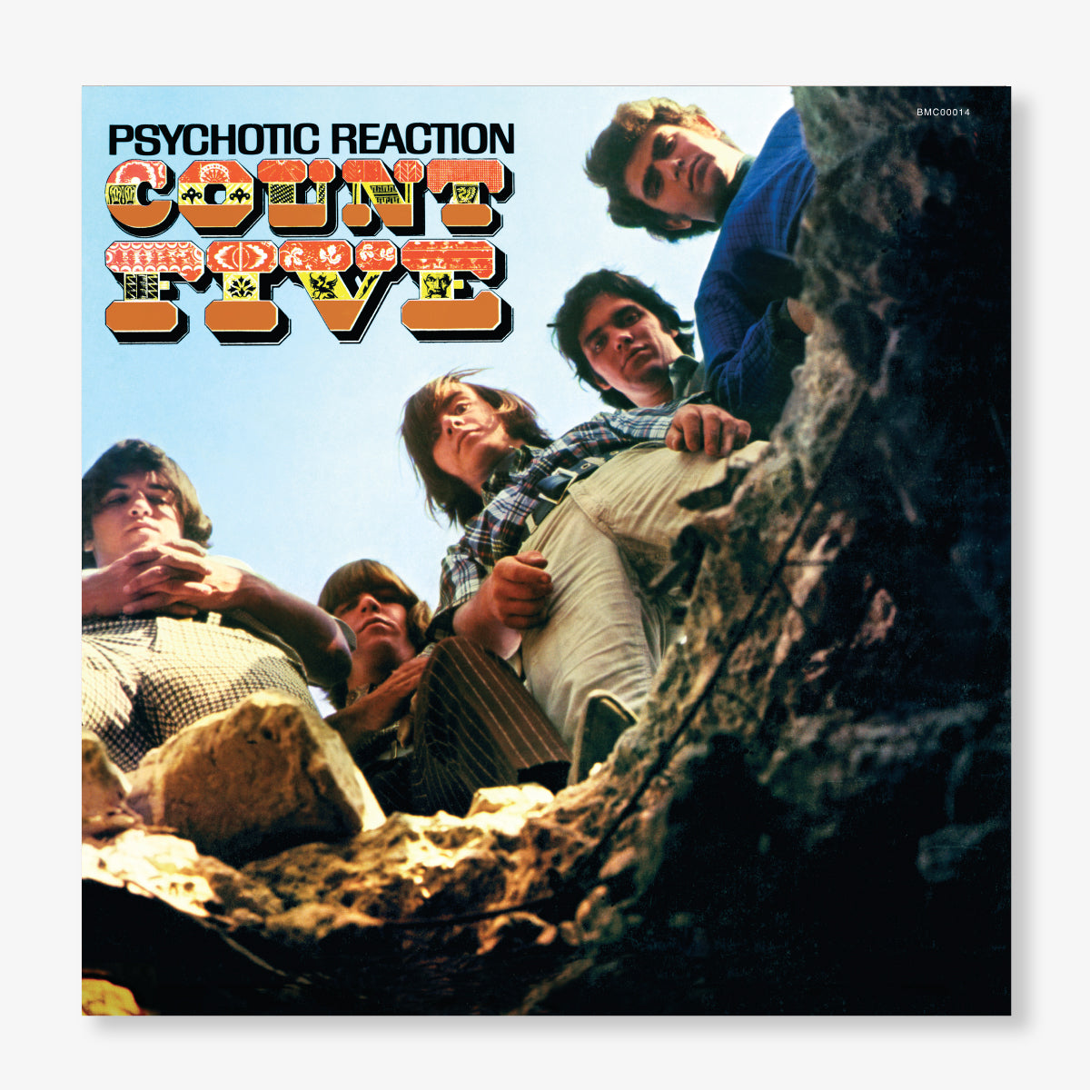 Psychotic Reaction (180g LP) Vinyl Record