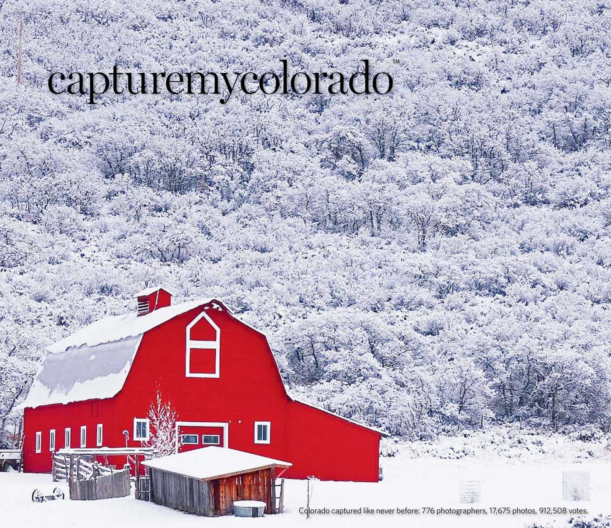 Capture My Colorado: Aspen Book