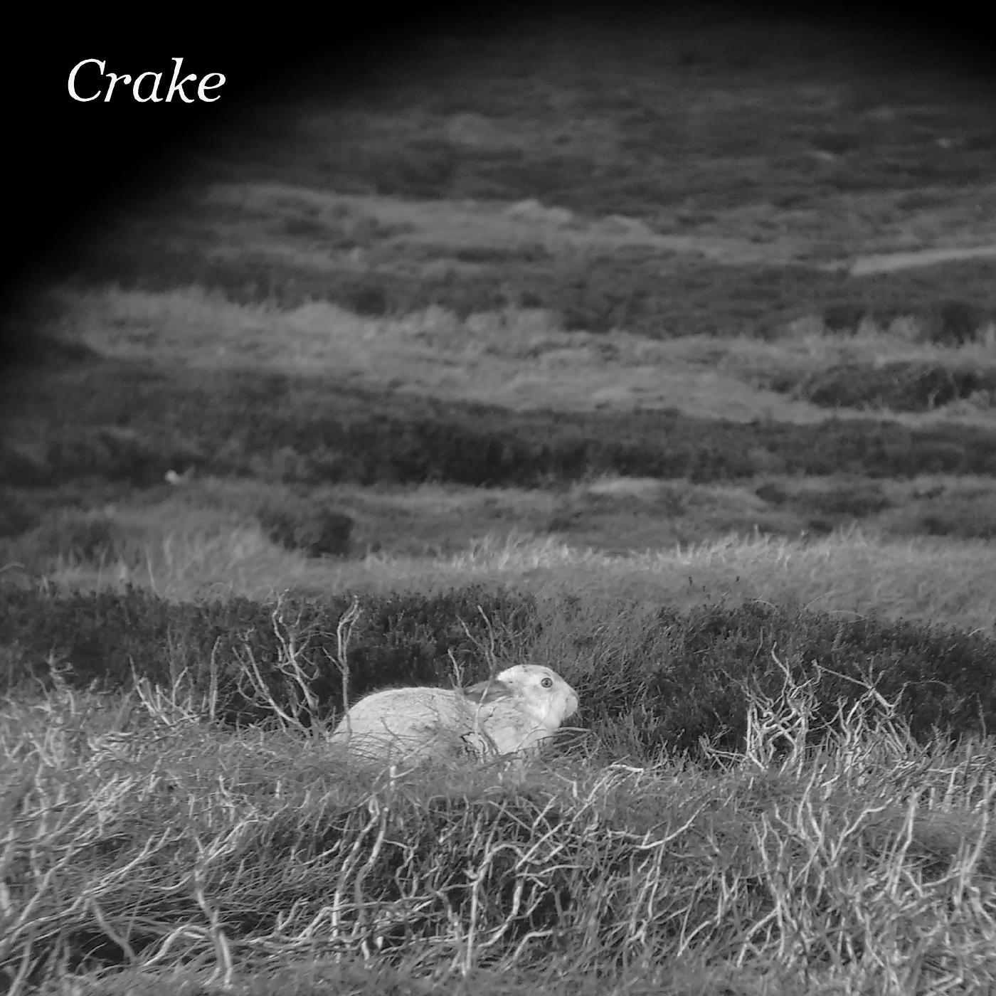 Crake - Enough Salt (For All Dogs) b/w Gef Vinyl Record
