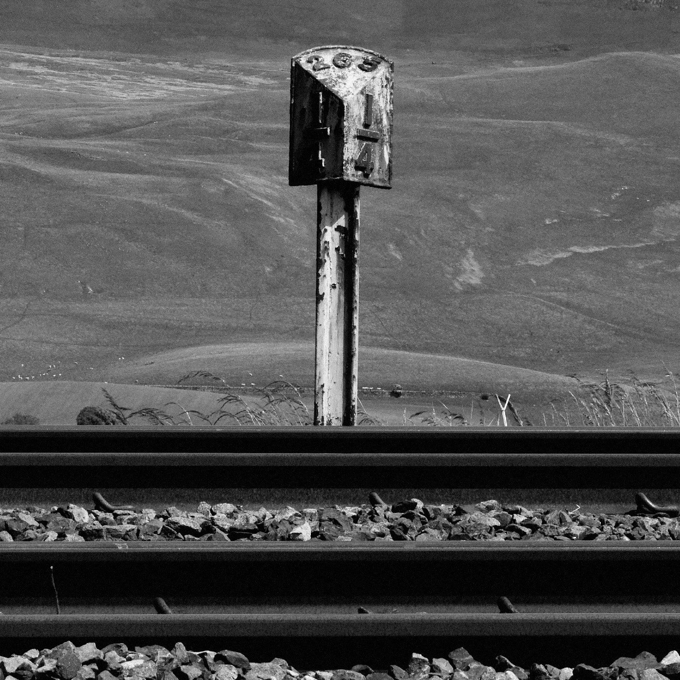Sidings (Indie Exclusive "Freight Bauxite" Vinyl) (Indie Exclusive) [Vinyl] Vinyl Record
