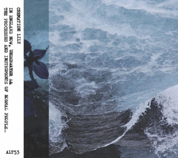 In England Now, Underwater & The Processes And Intruments of Normarl People  Music CD