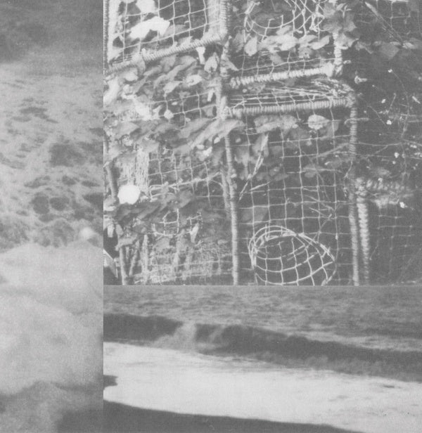 The Processes And Instruments Of Normal People (Clear Vinyl) Vinyl Record