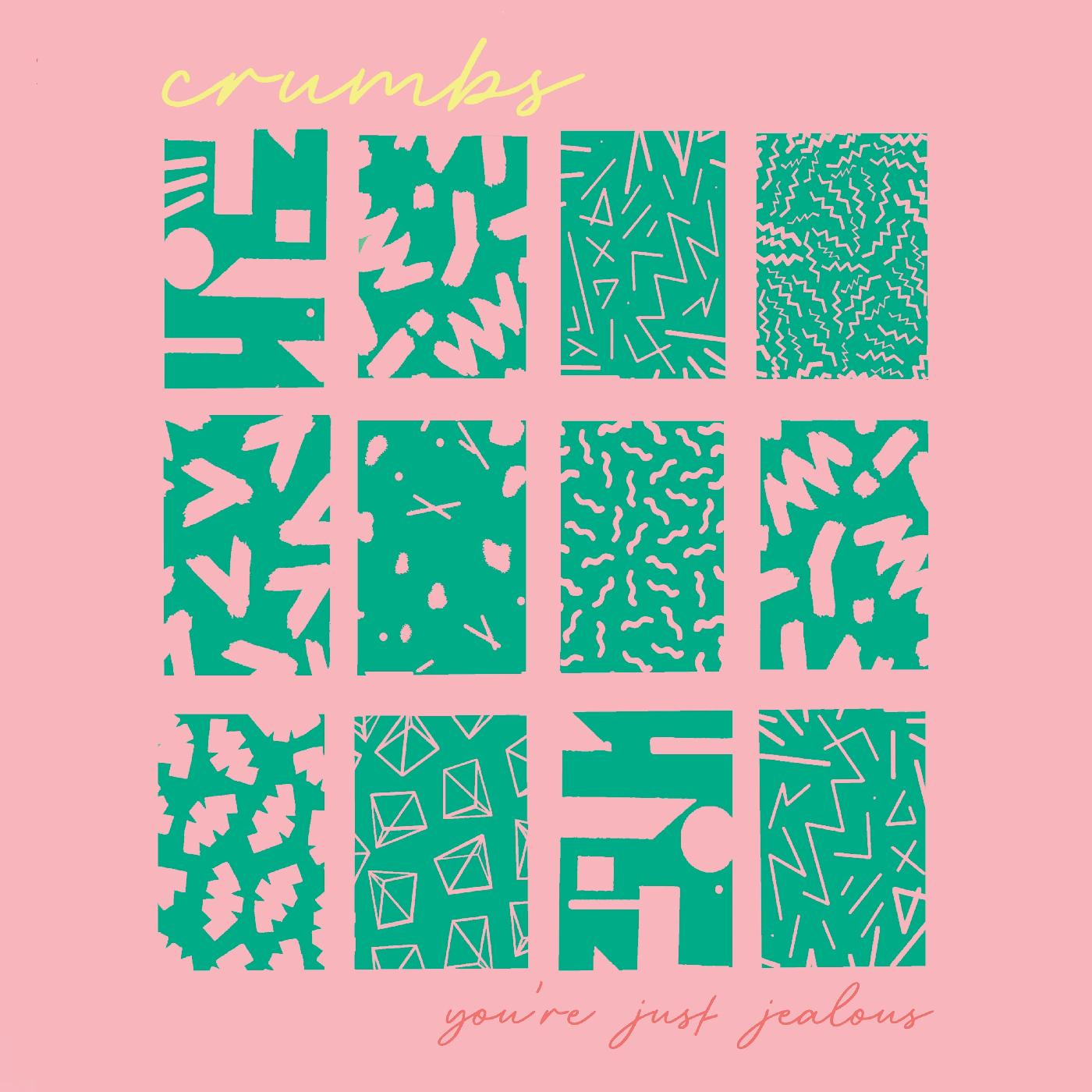 You're Just Jealous Vinyl Record