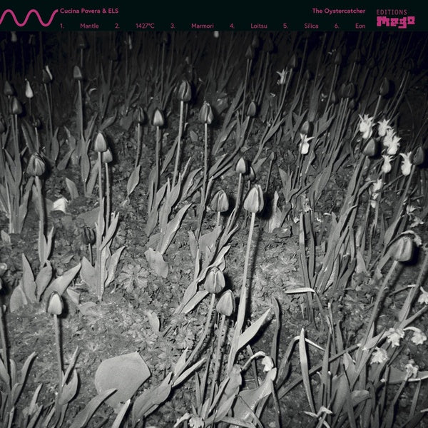 CUCINA POVERA & ELS - The Oystercatcher Vinyl Record