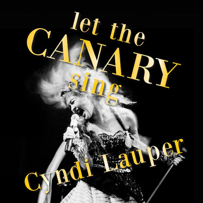 Cyndi Lauper - Let The Canary Sing Vinyl Record