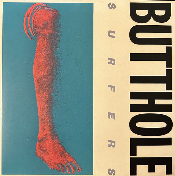 Rembrandt Pussyhorse Vinyl Record