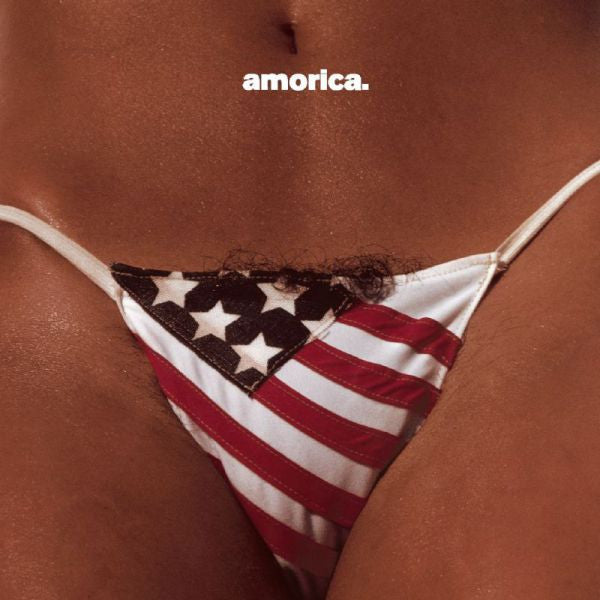 Amorica Vinyl Record