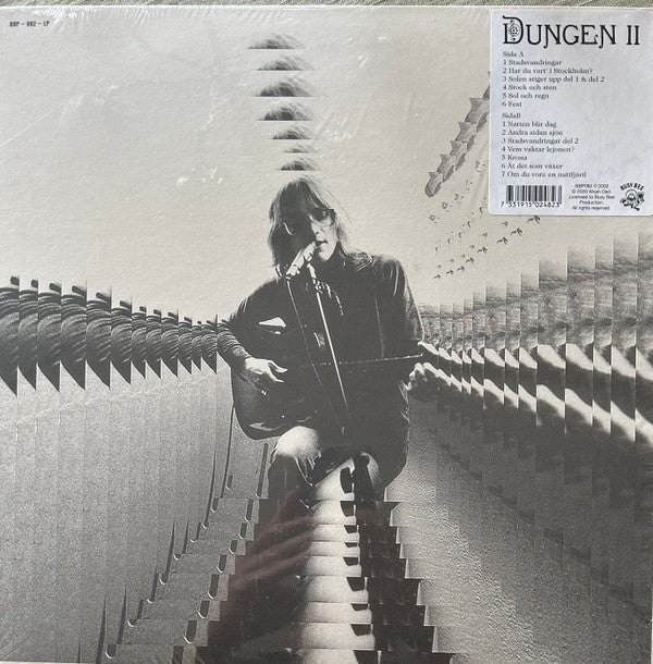Dungen - Ii - LP Vinyl Record