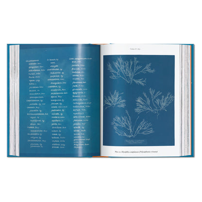 Anna Atkins. Cyanotypes. 45th Ed. (German, French, English) Book