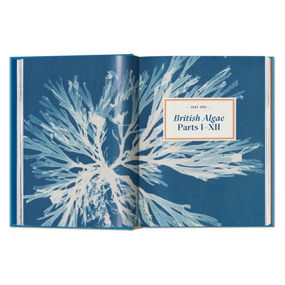 Anna Atkins. Cyanotypes. 45th Ed. (German, French, English) Book