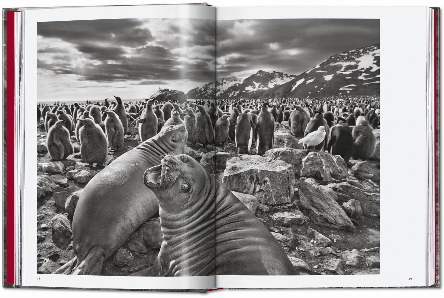 Sebastião Salgado. Genesis. 45th Ed. (English) Book