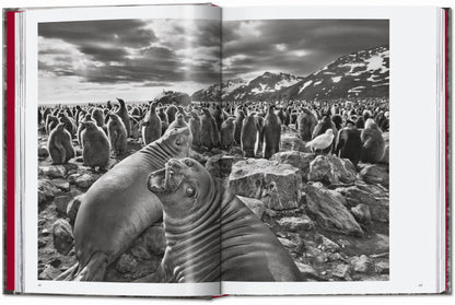 Sebastião Salgado. Genesis. 45th Ed. (English) Book