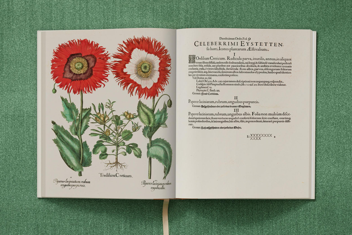 Basilius Besler. The Garden at Eichstätt (German, French, English) (FFE) Book